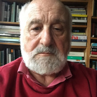 Michael A. Arbib