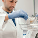 Alberto Sutera