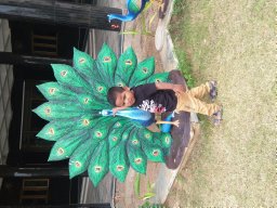 Krishna Murthy Potla