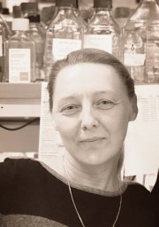 Tamara A. Potapova