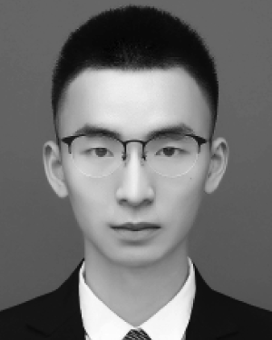 Zhengliang Zhu