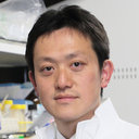 Shin Kaneko