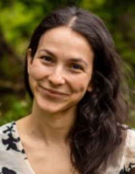 Sharon Stein
