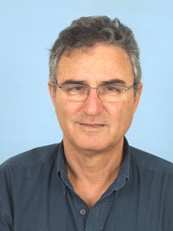 Israel Ringel