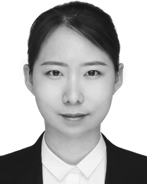Lin Geng