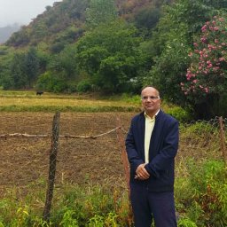 Mahmood Mahbobi Rad