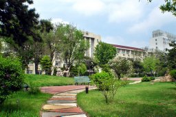 Hongliang Ming