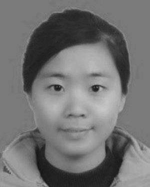 Hongmei Li