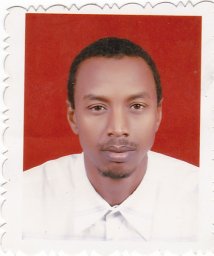 Sheikheldin M. Elamin