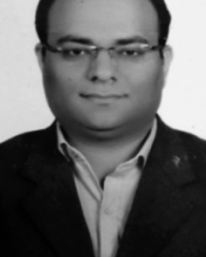 Dr Umesh Kumar Lilhore