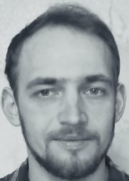 D. A. Nikitin