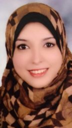 Marwa T. Hussien