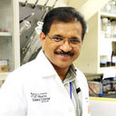 Pothana Saikumar