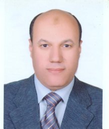El-Moselhy Mohamed A