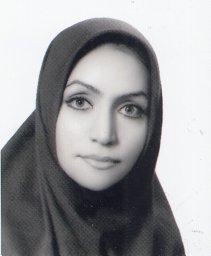 Sheikholeslami-Farahani Fatemeh