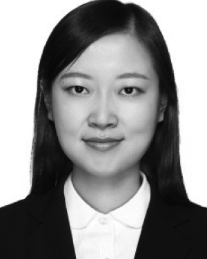 Jie Meng