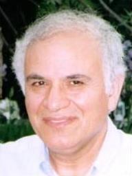 Abbas Firoozabadi