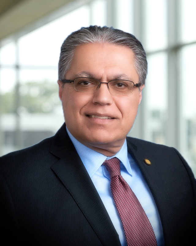 Mehrdad Saif