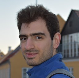 Karen V. Hovhannisyan