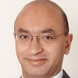 Yasser A. Abdel-Hadi