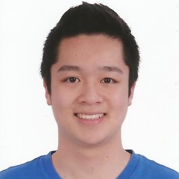 Terence T L Tang