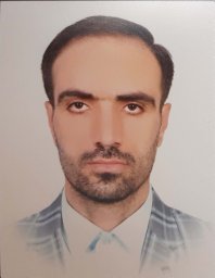 Molavi Vardanjani Hossein