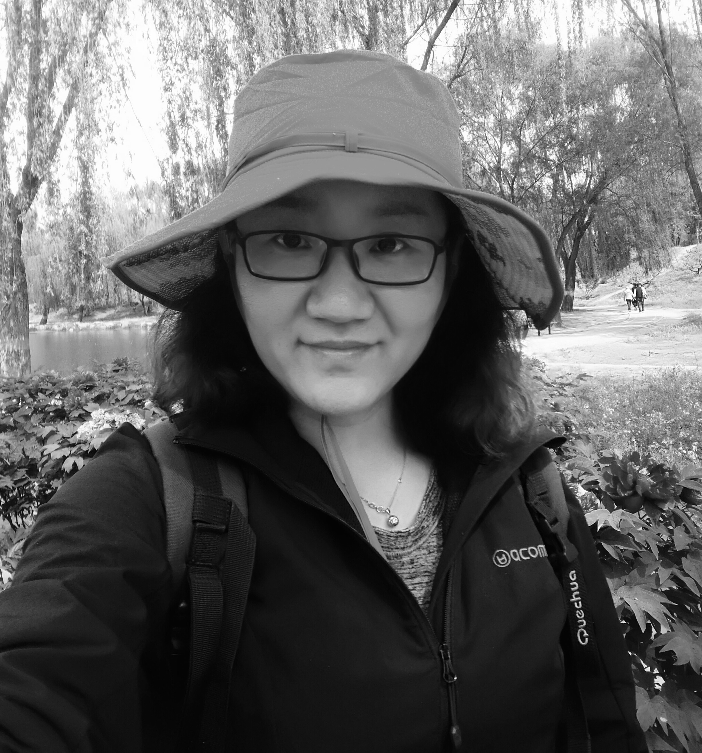 Dandan Wang
