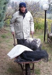Andrea Buscaroli