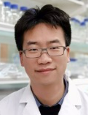 Qianhui Qu