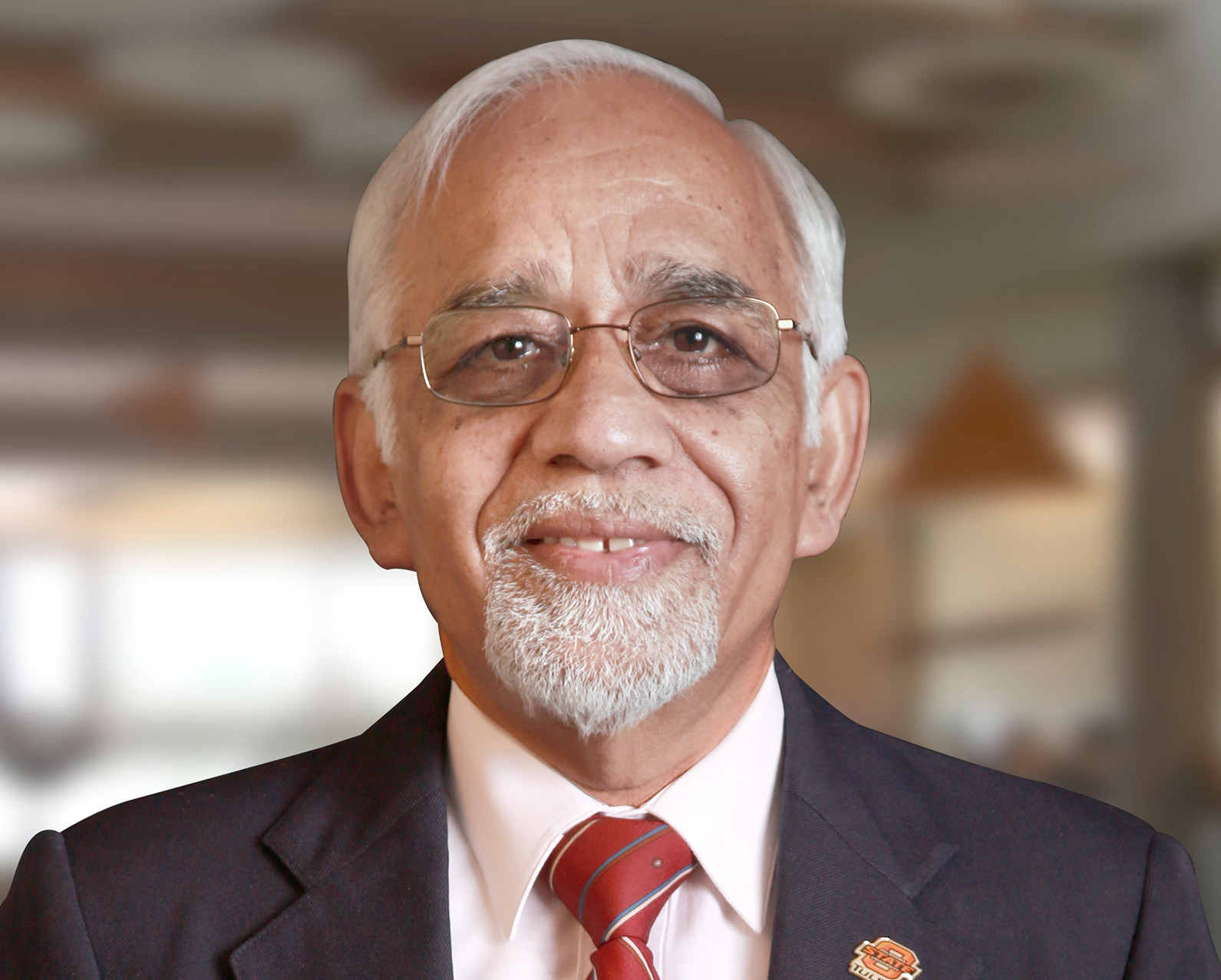 Raj N. Singh