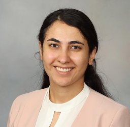 Bahar Saberzadeh-Ardestani
