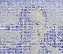 Casey M. Bergman