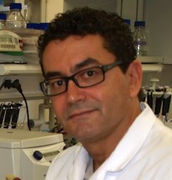 Sergio Moreno
