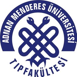 Faruk Sendur