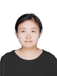 Yan Fei