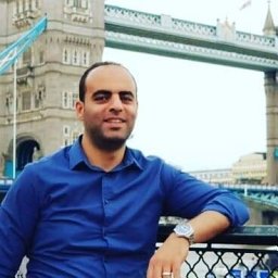 Alaa S. Al-Waisy