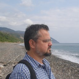 Georgios K Vasios