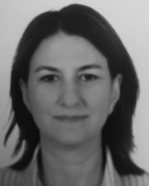 M. Elif Karsligil