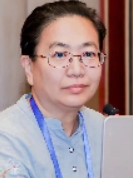 Dongxin Wen