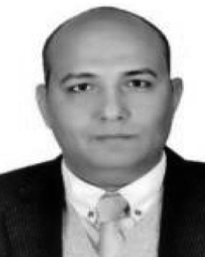 Wael Said