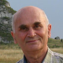 V. A. Davydov