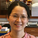 Yingjie Zhao