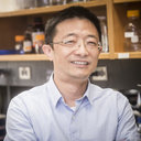 Xinyang Zhao