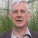 Alistair R Mccracken