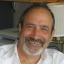 Luigi De Luca