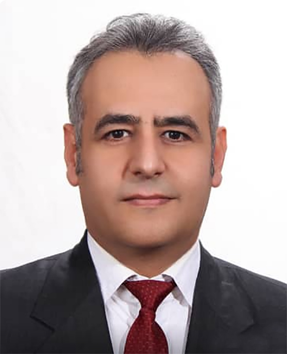Mohammad Mehdi Rashidi