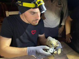 David Lopez-Bosch