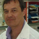 Eitan Ben-Dov