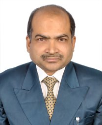 M. Zulfequar