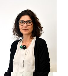 Isabel F Almeida